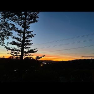 Meet your Posher, Zoe